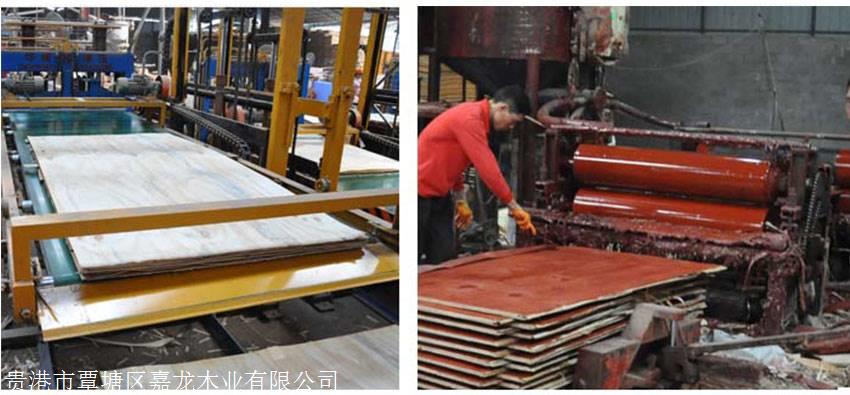 广西贵港建筑胶合板厂家嘉龙木业直供建筑模板