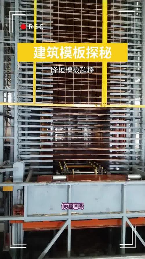 答案是建筑模板!它是临时支护结构,有多种类型